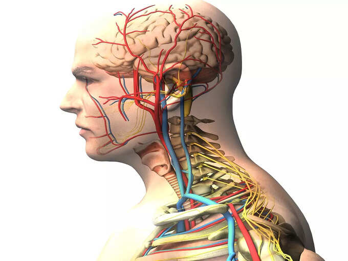 ​Ganglion cysts கேங்க்லியன் நீர்க்கட்டிகள் இருந்தால் மணிக்கட்டு வலி ஏற்படும்​