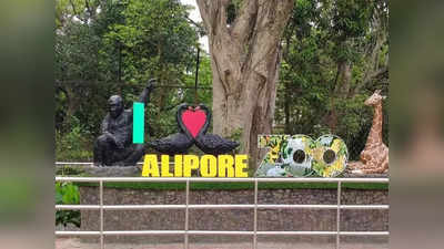 Alipore Zoo : হরিণের খাঁচায় কাদার চৌবাচ্চা-ভালুককে টক দই, বাবুকে ঘোল