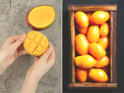 How To Eat Mango: ઉનાળામાં કેરી ખાતા પહેલાં શા માટે પાણીમાં પલાળવી જોઇએ? ન્યૂટ્રિશનિસ્ટે જણાવ્યા ફાયદા-પોષકતત્વો