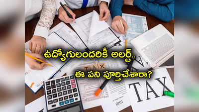 Tax Regime TDS: ఉద్యోగులకు అలర్ట్.. ఏ పన్ను విధానం ఎంచుకుంటున్నారో చెప్పండి.. లేకపోతే?