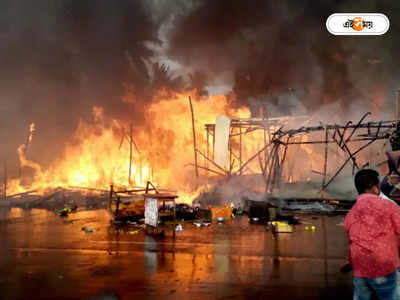 Santoshpur Fire Incident : সন্তোষপুরের কাছে বিধ্বংসী আগুন, শিয়ালদা দক্ষিণে ট্রেন চলাচল ব্যাহত