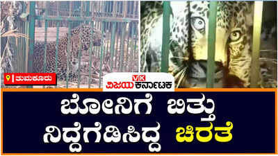 ತುಮಕೂರು: ಕುಂದೂರು-ಬೆಳಗುಂಬ ಗ್ರಾಮಸ್ಥರು ನಿರಾಳ, ಸಾಕು ಪ್ರಾಣಿಗಳ ಭಕ್ಷಿಸುತ್ತಿದ್ದ ಚಿರತೆ ಸೆರೆ