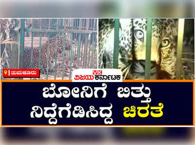 ತುಮಕೂರು: ಕುಂದೂರು-ಬೆಳಗುಂಬ ಗ್ರಾಮಸ್ಥರು ನಿರಾಳ, ಸಾಕು ಪ್ರಾಣಿಗಳ ಭಕ್ಷಿಸುತ್ತಿದ್ದ ಚಿರತೆ ಸೆರೆ