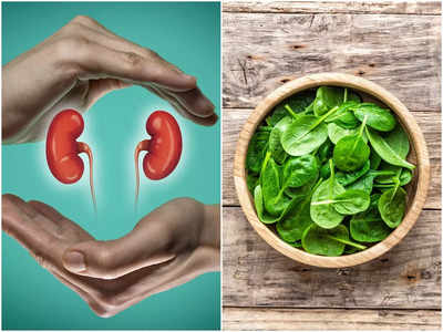Foods For Kidney: এই সব সস্তার খাবারগুলিই কিডনির যত্ন নেয়, খেলেই দূরে থাকে নানা ঘাতক অসুখ