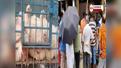 Kolkata Market Price: বাজারে রুই, চিকেনের এক দাম! সস্তায় কিনবেন কী কী?