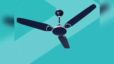 Bajaj Ceiling Fan: जबरदस्त हवा देने वाली मोटर से लैस हैं ये डेकोरेटिव सीलिंग फैन, इन पर मिल रही है भारी छूट