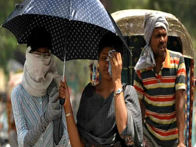 Kolkata Temperature : বাংলা জ্বলছে রোদের তাপে, তাতেও মজার রসদ মিম-এ