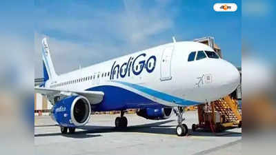 IndiGo Flight : মত্ত অবস্থায় বিমানের এমার্জেন্সি দরজা খোলার চেষ্টা, মাঝ আকাশে মাতাল বিমানযাত্রীর আজব কাণ্ড!