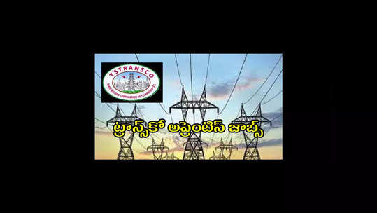 TS TRANSCO : తెలంగాణ ట్రాన్స్‌కోలో 92 అప్రెంటిస్‌ జాబ్స్‌.. పూర్తి వివరాలివే 