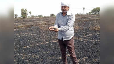 Jalaun News: 60 बीघा खेत में खड़ी गेहूं की फसल जलकर हुई राख, किसानों को 15 लाख का नुकसान
