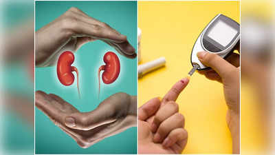 Diabetic Nephropathy: অনিয়ন্ত্রিত ব্লাড সুগার কিডনির গুরুতর ক্ষতি করে, এই লক্ষণ দেখলে আর অবহেলা নয়