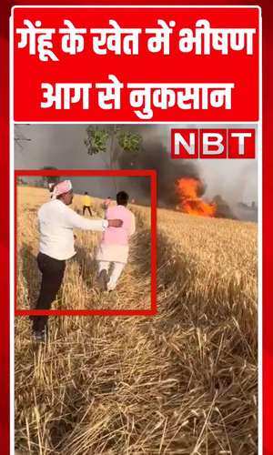 santkabirnagar fire in wheat field mla ganesh chauhan trying to douse video