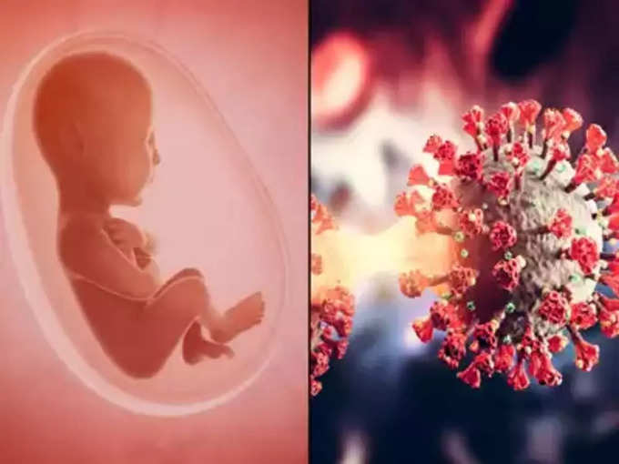 corona fetus