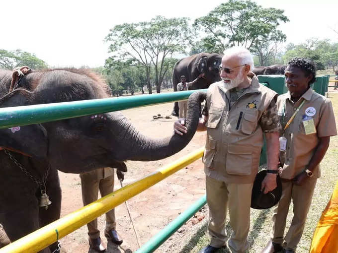 ​मुदुमलाई में हाथी कैंप पहुंचे पीएम मोदी ​