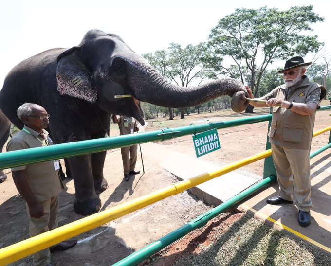 पीएम मोदी ने ​हाथियों को गन्ना भी खिलाया