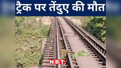 Bihar: बगहा में ट्रेन की चपेट में आकर तेंदुए की मौत, VTR में जंगल के बीच से गुजरने वाले रेलवे ट्रैक पर हादसा
