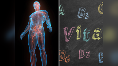 Vitamins For Strong Nerves: 5 चीजों से नसों में भर जाती है जान, कोई भी बीमारी हिला नहीं पाएगी शरीर