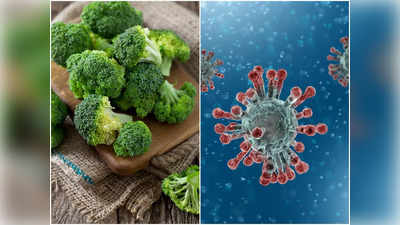 Broccoli to Boost Immunity: তপ্ত গরমে ফাঁদ পেতেছে নানা জীবাণু, ইমিউনিটি বাড়াতে এই সবজিতেই ভরসা রাখুন