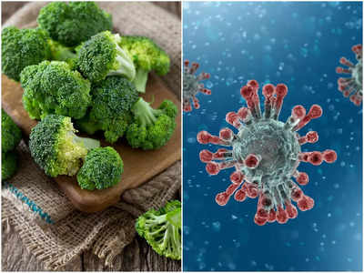 Broccoli to Boost Immunity: তপ্ত গরমে ফাঁদ পেতেছে নানা জীবাণু, ইমিউনিটি বাড়াতে এই সবজিতেই ভরসা রাখুন