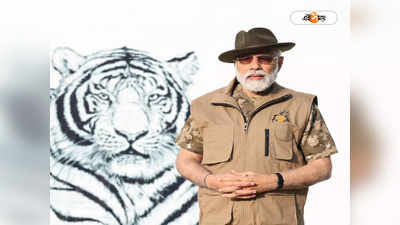 PM Modi Jungle Safari: আদানির কাছে বিক্রি নয়, মোদীর বান্দিপুর জঙ্গল সাফারিকে খোঁচা কংগ্রেসের