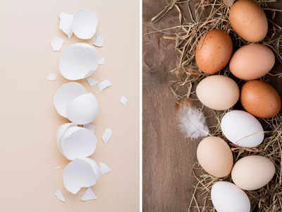 अंडे के छिलके से आसान हो जाते हैं घर के कई काम, फेंकने से बेहतर है ऐसे करें इस्तेमाल