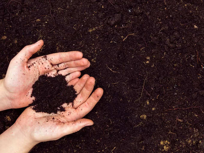 मिट्टी को उपजाऊ बनाता है