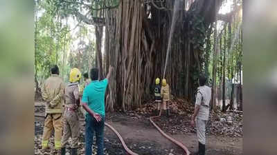 தேனி அருகே 300 ஆண்டுகளுக்கு மேல் பழமை வாய்ந்த ஆலமரத்தில் பற்றி எரிந்த தீ: 9 மணி நேரம் போராட்டத்திற்கு பின் அணைப்பு