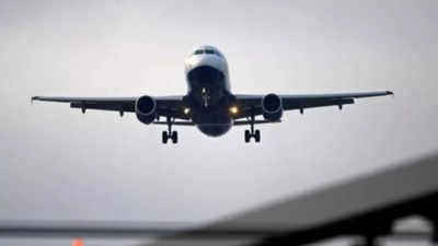 दिल्ली से लंदन जा रही एयर इंडिया की फ्लाइट में क्रू मेंबर से बदसलूकी, IGI एयरपोर्ट पर वापस लौटी फ्लाइट
