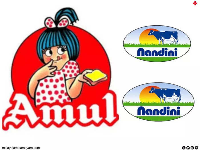 amul and nandini