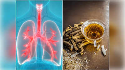 Lung Detox: ফুসফুসের সব ময়লা বের করে প্রাণ ভরে শ্বাস নিতে চান? পান করুন এই ৫ পানীয়