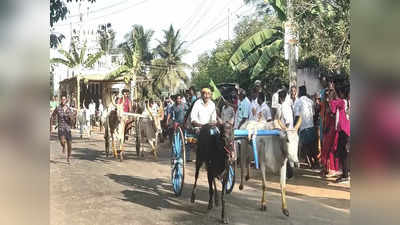 புதுக்கோட்டை அருகே கோவில் திருவிழாவையொட்டி மாட்டு வண்டி பந்தயம்: பொதுமக்கள் உற்சாகம்