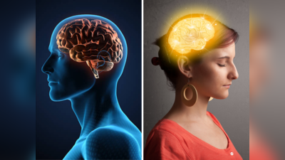 Health News : पुरूषांपेक्षा महिलांचा मेंदू असतो लहान, मात्र असं असलं तरीही बायकाच सरस