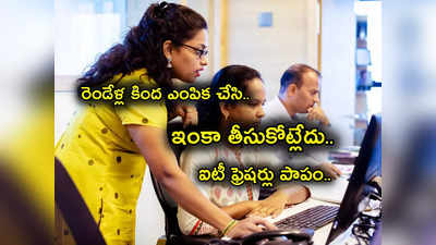 IT Freshers: పాపం IT ఫ్రెషర్లు.. ఆఫర్ లెటర్స్ ఇచ్చి ఆపుతున్నాయ్.. మళ్లీ ఎగ్జామ్ పాసైతేనే ఉద్యోగ మోక్షం.. లేదంటే? 