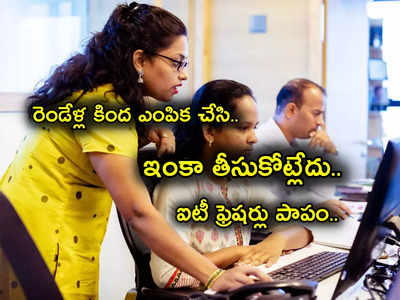 IT Freshers: పాపం IT ఫ్రెషర్లు.. ఆఫర్ లెటర్స్ ఇచ్చి ఆపుతున్నాయ్.. మళ్లీ ఎగ్జామ్ పాసైతేనే ఉద్యోగ మోక్షం.. లేదంటే?