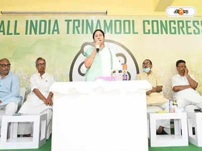 Trinamool Congress: সোম রাতে কমিশন কোপ, জাতীয় দলের মর্যাদা হারাল তৃণমূল