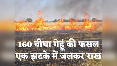 UP News: बिजली के पोल से टकराया हार्वेस्टर, खेत में लगी भीषण आग से 170 बीघा गेहूं की फसल खाक