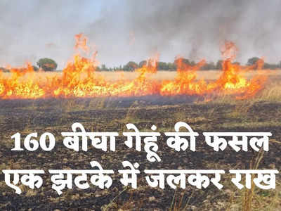 UP News: बिजली के पोल से टकराया हार्वेस्टर, खेत में लगी भीषण आग से 170 बीघा गेहूं की फसल खाक