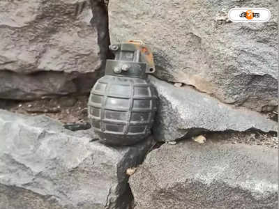 Grenade Found In Delhi : মাঠ থেকে উদ্ধার ৭টি দেশীয় গ্রেনেড, আতঙ্ক দিল্লির হলম্বি কালান এলাকায়