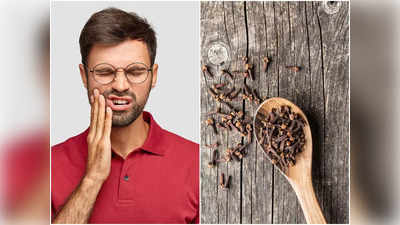 Clove To Treat Toothache: এই প্রাকৃতিক উপাদানটি নিমেষে কমায় দাঁতে ব্যথা, কিন্তু কী ভাবে ব্যবহার করবেন জানেন কি?