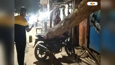 Jhargram News : আচমকাই রাস্তার ধারে ভেঙে পড়ল শুকনো শাল গাছ, বরাত জোরে প্রাণে বাঁচলেন কয়েকজন