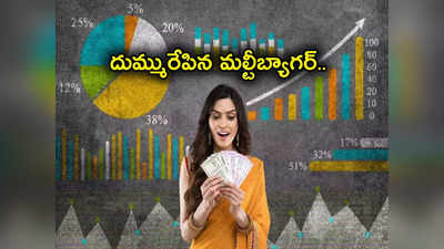 Multibagger Stocks: ఏడాదిలో లక్షకు రూ.3 లక్షల లాభం.. పండగ చేసుకున్న ఇన్వెస్టర్లు.. ఎలా జరిగిందంటే?