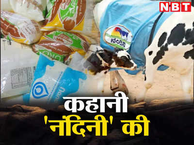 जिस नंदिनी के लिए मच रहा इतना बवाल, जानिए वो है कौन, कितना बड़ा है साम्राज्य?