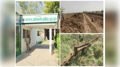1500 पेड़ उखाड़ मिट्टी के नीचे दबाए, चिड़ियों को किया बेघर... वन विभाग ने लगाया 1.12 करोड़ रुपये जुर्माना