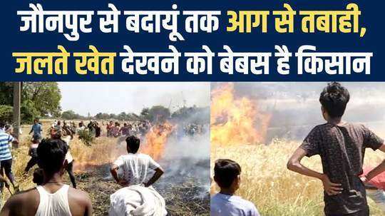 many agriculture fields gutted in fire in chandauli and badaun of up