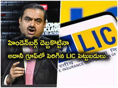 Adani Stocks: కోట్లకు కోట్లు నష్టపోయినా LIC అదే దూకుడు.. అదానీ స్టాక్స్‌లో మరిన్ని పెట్టుబడులు.. హిండెన్‌బర్గ్ దెబ్బకొట్టినా?