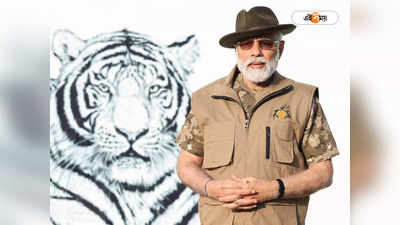 PM Modi Jungle Safari : মোদীর নিরাপত্তা মহড়ার জন্য বন্দিপুরে মেলেনি বাঘের দর্শন! উঠছে প্রশ্ন