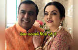 Nita Ambani: బర్త్ డే పార్టీకి రూ.220 కోట్లు.. 32 చార్టెడ్ ఫ్లైట్స్.. ఏఆర్ రెహమాన్ షో.. మరెన్నో!