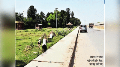 5 करोड़ रुपये खर्च करके पौधे लगाने का दावा, मौके पर बंजर... हरियाली जमीन खा गई या आसमान निगल गया?