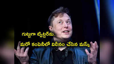 Elon Musk: పెద్ద షాక్ ఇచ్చిన మస్క్.. ఆ కంపెనీలో ట్విట్టర్ విలీనం.. గుట్టుచప్పుడు కాకుండా అన్నంత పనిచేసి..!