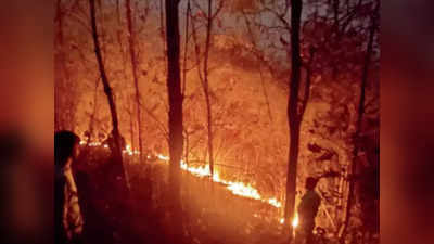 दिल्ली के युवकों को जंगल की आग का नहीं था अंदाजा, बुझाने गए और हो गया बड़ा हादसा, जानिए पूरा मामला?
